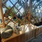 Belvedere_studio Flat